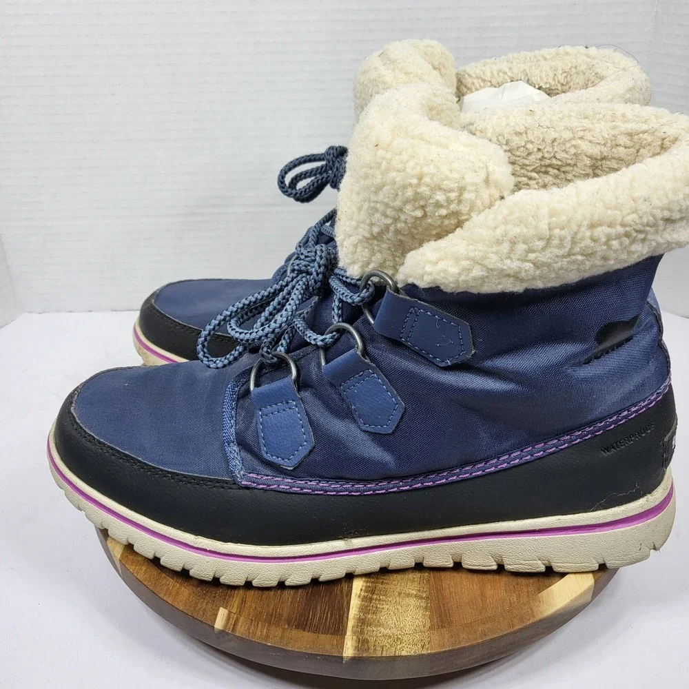 Sorel ai models